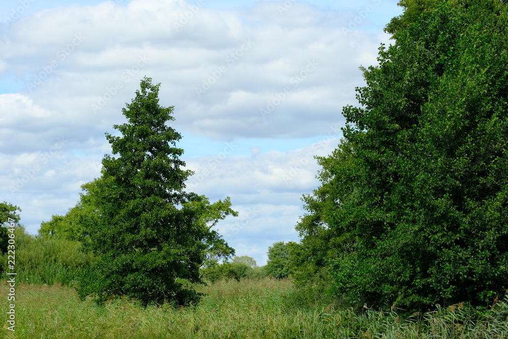 Im Bereich der Flußlandschaft der Hamme im Sommer in der Umgebung von Worpswede Im Bereich der Flußlandschaft der Hamme im Sommer in der Umgebung von Worpswede