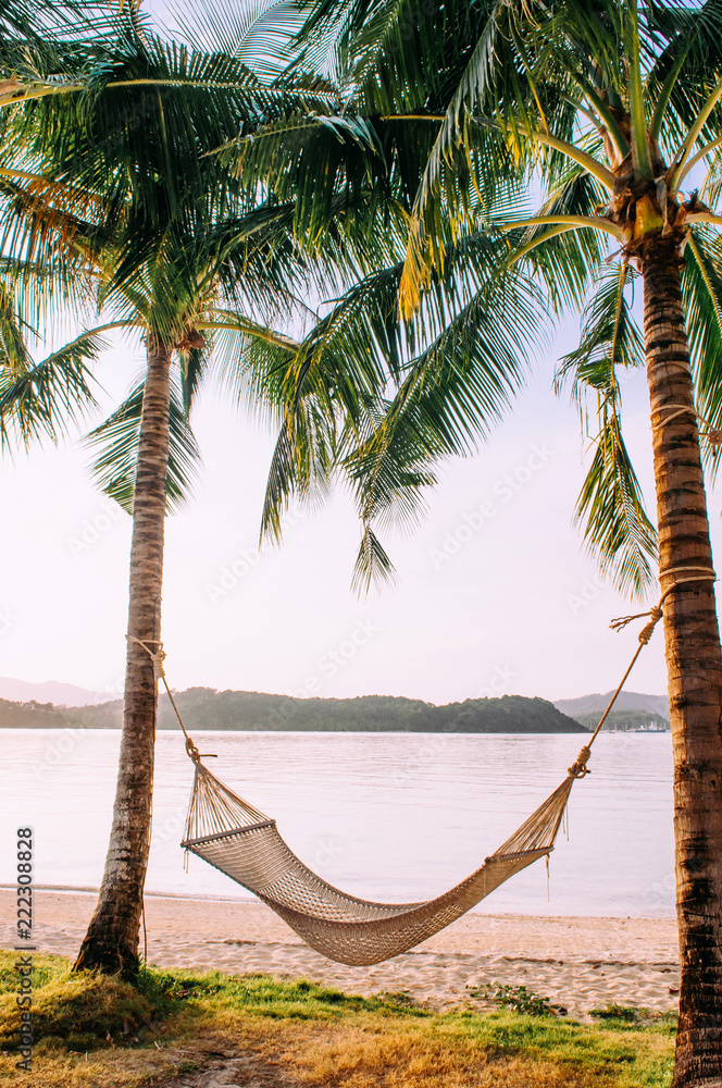 Vacation Relaxation hammock hanging from coconut trees on beach, Phuket  Thailand Stock-foto | Adobe Stock
