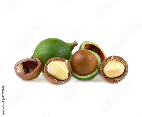 Macadamia nut isolate on white background