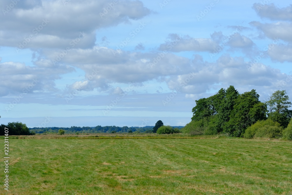An der Hamme im Sommer in der Umgebung von Worpswede