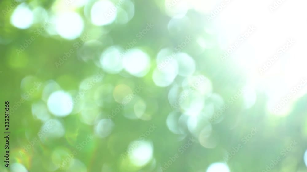 Variable defocused bright summer sunny green background with bokeh and glares. Summer warm afternoon in canopy of trees Variable defocused bright summer sunny green background with bokeh and glares. Summer warm afternoon in canopy of trees