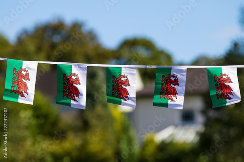 Welsh Flag Bunting flying © Tina Jenner