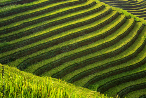 Layer of Rice fields on terraced of Mu Cang Chai, YenBai, Vietnam. Vietnam landscapes.