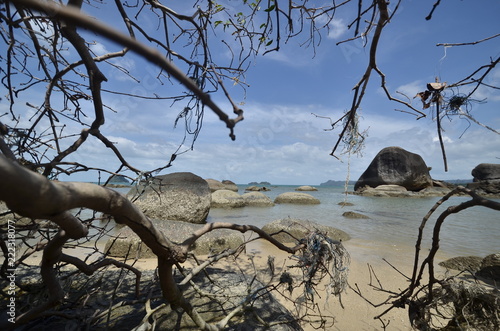 Beauty of Nature. Beach rock on the sunny day.
