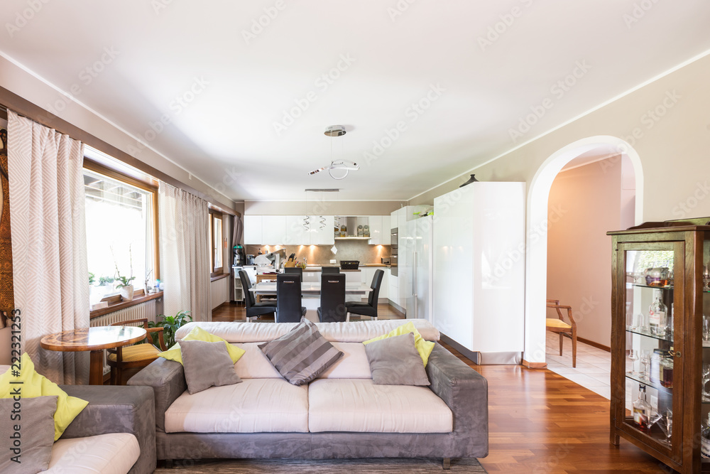 Fototapeta premium Modern living and kitchen of a villa