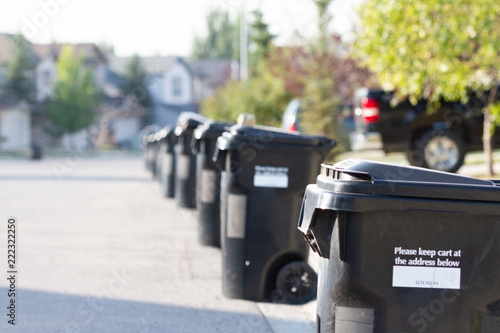 Photography Garbage bins on city street ready for collection