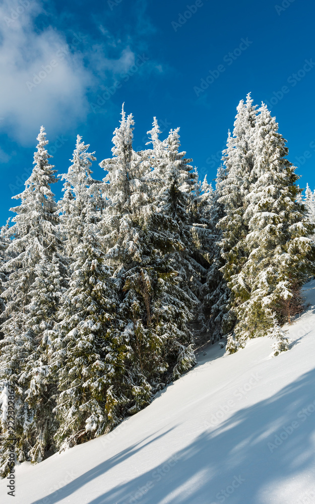 Winter mountain snowy landscape Winter mountain snowy landscape