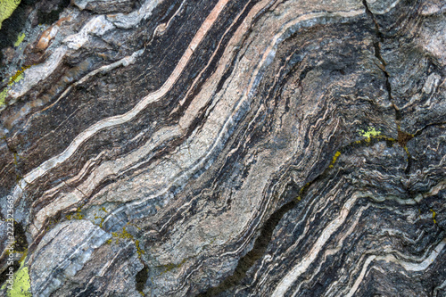 quartz veins in metamorphic rock photo