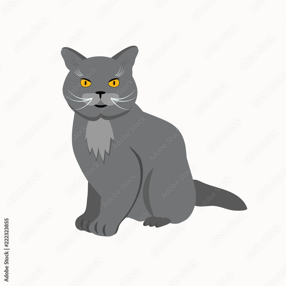 Cat breed British Shorthair face. Vector illustration. Cat breed British Shorthair face. Vector illustration.