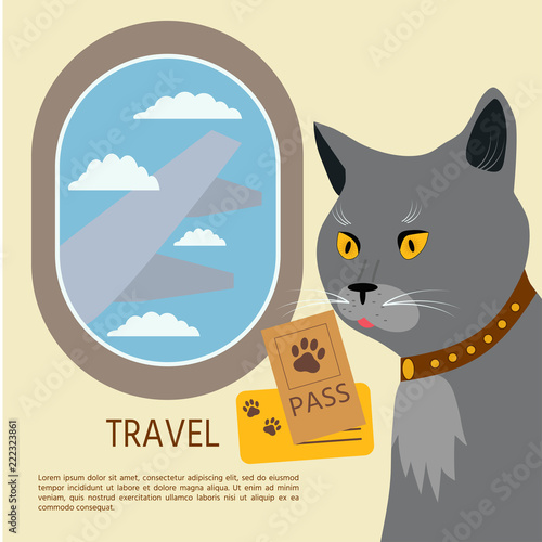  Cat  British Shorthair flies by plane whith pasport and ticket.  Vector illustration.