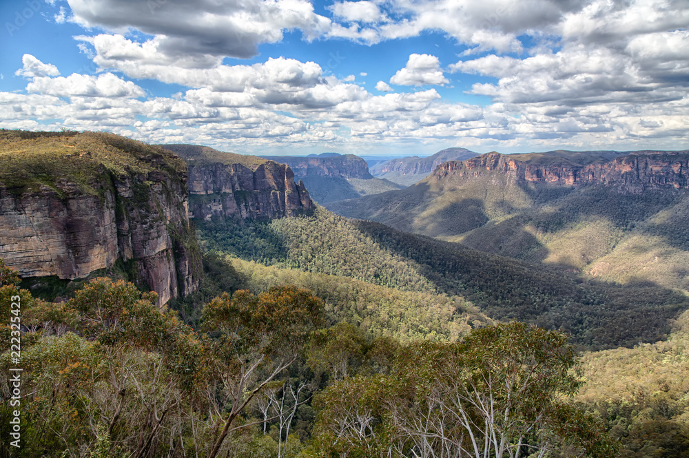 Blue mountain canyon landscape taken in the Blue Mountains, NSW, Australia on 8 October 2013