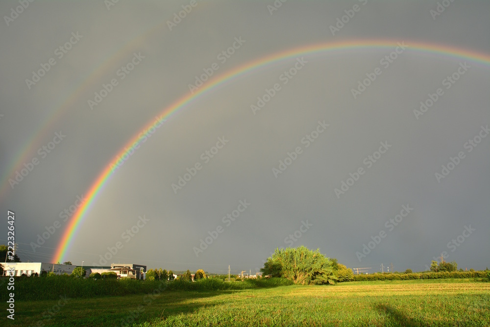 Fototapeta premium Great rainbow