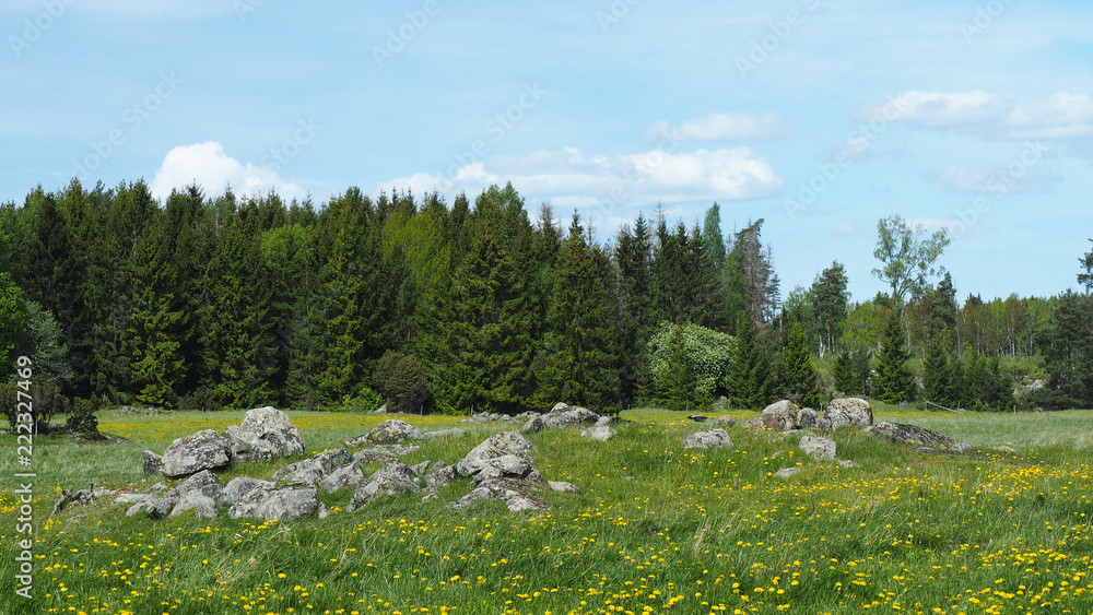 beautiful swedish landscape