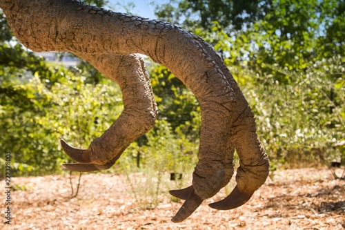 Dinosaur claws detail. Detail of dinosaur paws.Dinosaur claws detail in front of green trees. Danger animal.