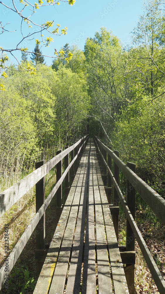 long bridge in forest