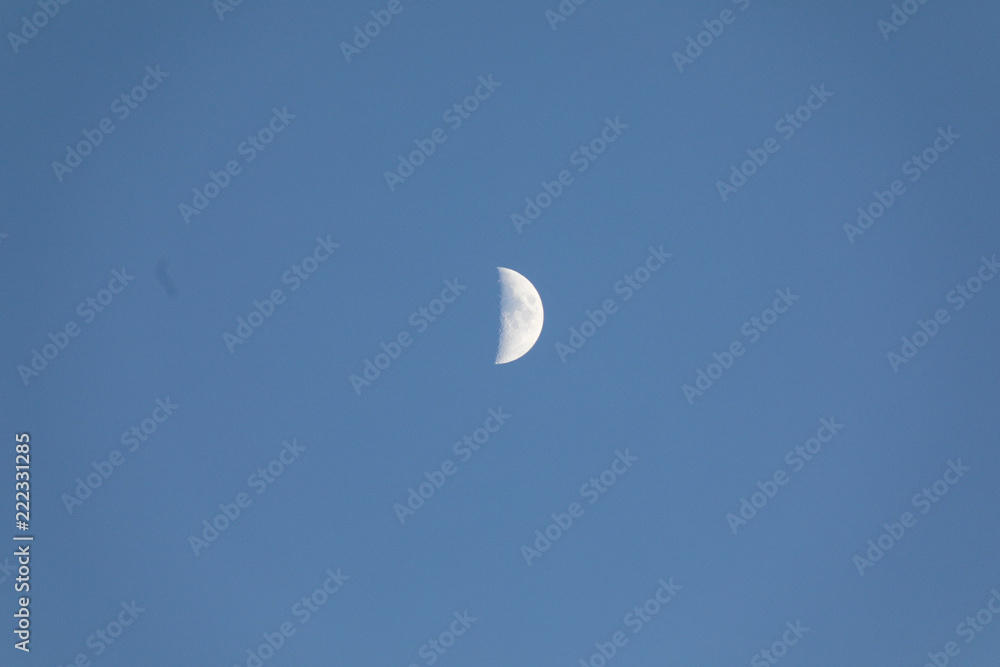 lune lune