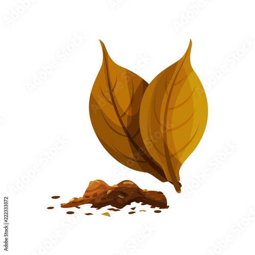 Two whole dry leaves and small heap of shredded tobacco for smoking. Decorative flat vector element for product packaging