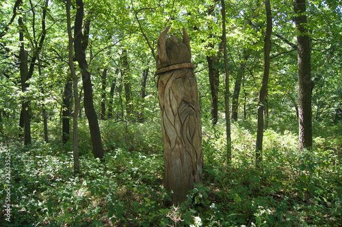 Tree Art with Face Carving