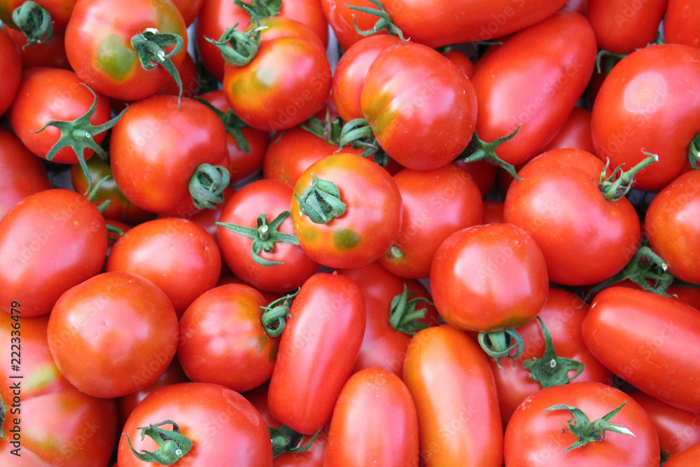 Red round and long fresh ripe tomatoes pattern. Summer vegetables
Red round and long fresh ripe tomatoes pattern. Summer vegetables
