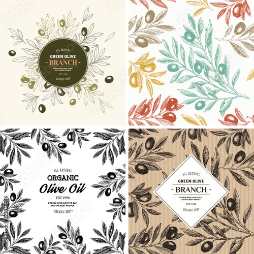 Olive design templates. Compositions, seamless pattern. Vector illustration