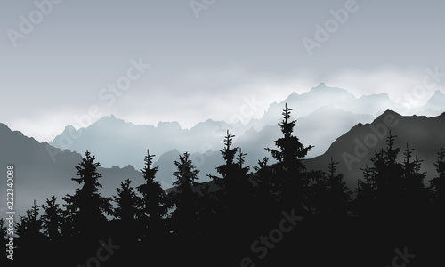 Vector illustration of mountain landscape with coniferous forest under gray sky with clouds