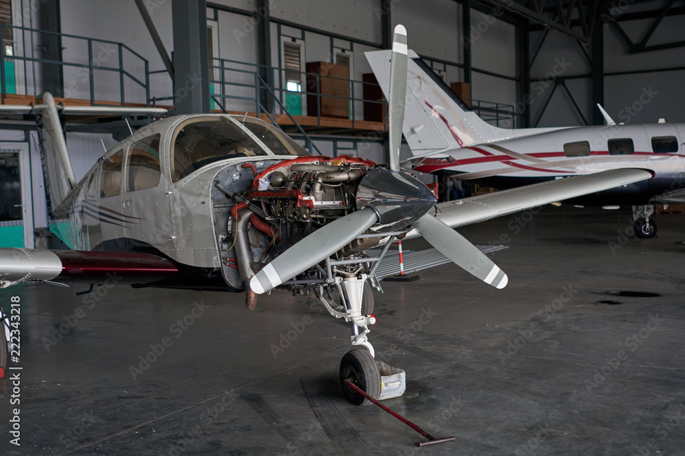 Naklejka premium plane is in the hangar