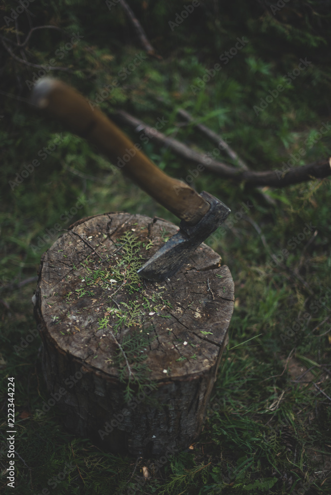 Obraz premium Ax in the stump