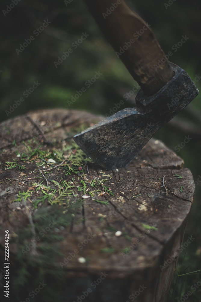 Fototapeta premium Ax in the stump close up