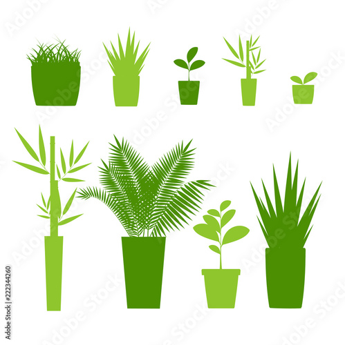Green Silhouette or Contour Houseplant Pot Set. Vector