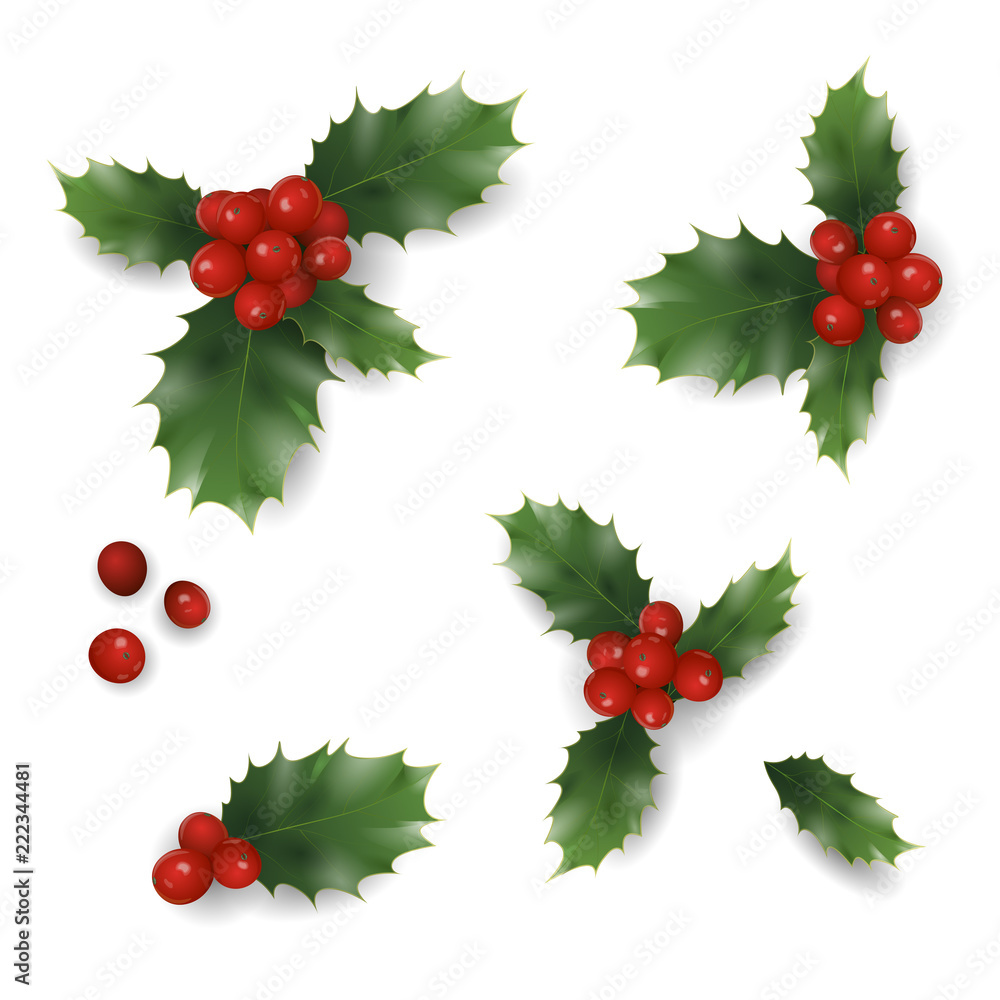 Red Berries Vector Set Bunch Of Holly Berries Set Of Christmas And