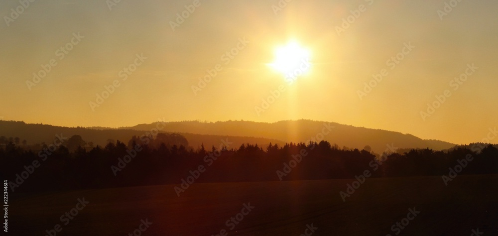 Golden sunset over a misty forest 