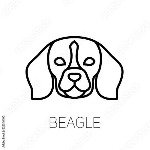 Beagle linear face icon. Isolated outline dog head vector