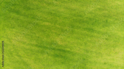 Aerial. Grass texture background.