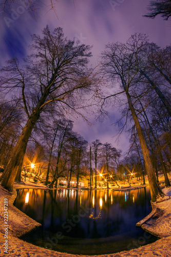 Night scene in a park in the winter with a lake in the foreground photo