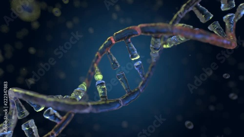 Animated DNA model assembled from glass. 3D