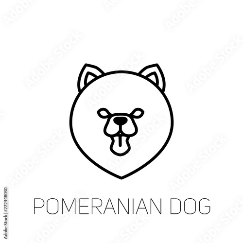 Pomeranian spitz tongue out. Dog breed linear face icon. Isolated vector line dog head