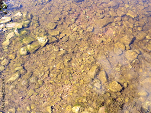 clear waters on the river with fish