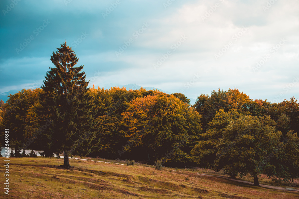 Fototapeta premium Autumn Landscape