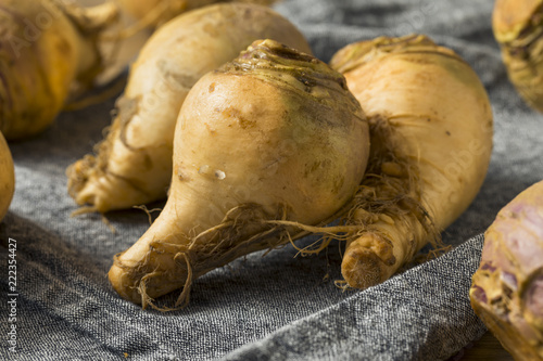 Foto Raw Organic Brown Rutabaga Root