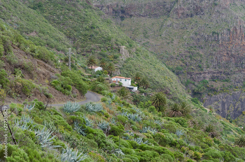Carretera en el Valle de Masca, Buenavista del Norte de Tenerife. Tenerife Islas Canarias. España.