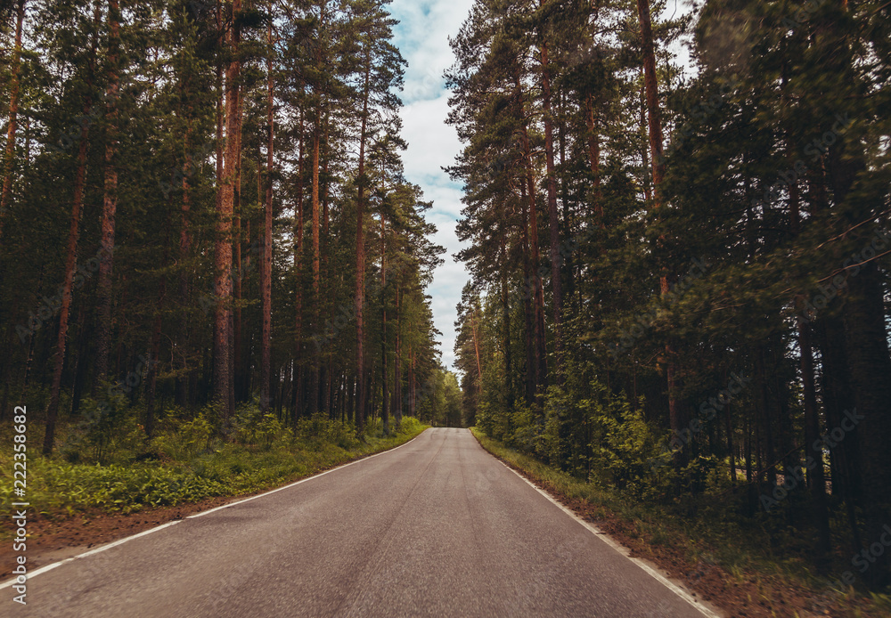 Fototapeta premium Driving on a narrow road through the forest in Punkaharju Finland