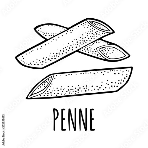 Pasta penne. Vector vintage engraving black illustration