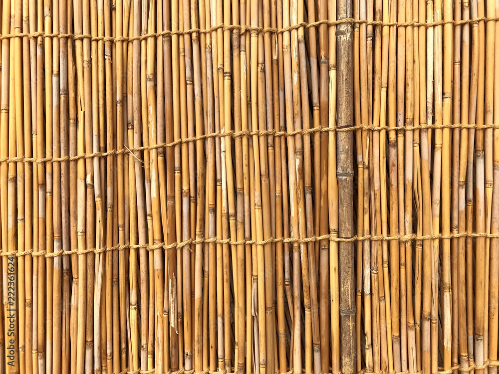 Bamboo background. Japanese Wall. Bamboo background. Japanese Wall.