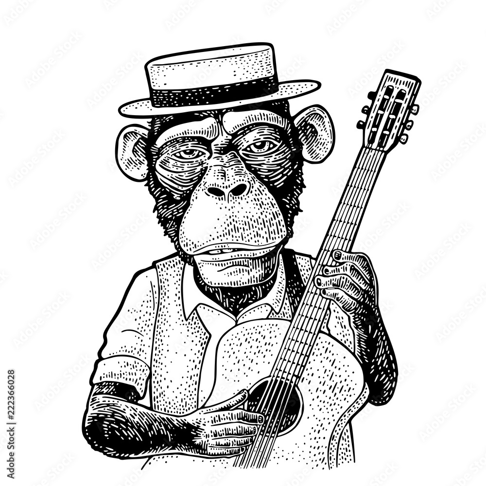 Fototapeta premium Małpa ubrany kapelusz i koszulę trzymając gitarę. Rytownictwo