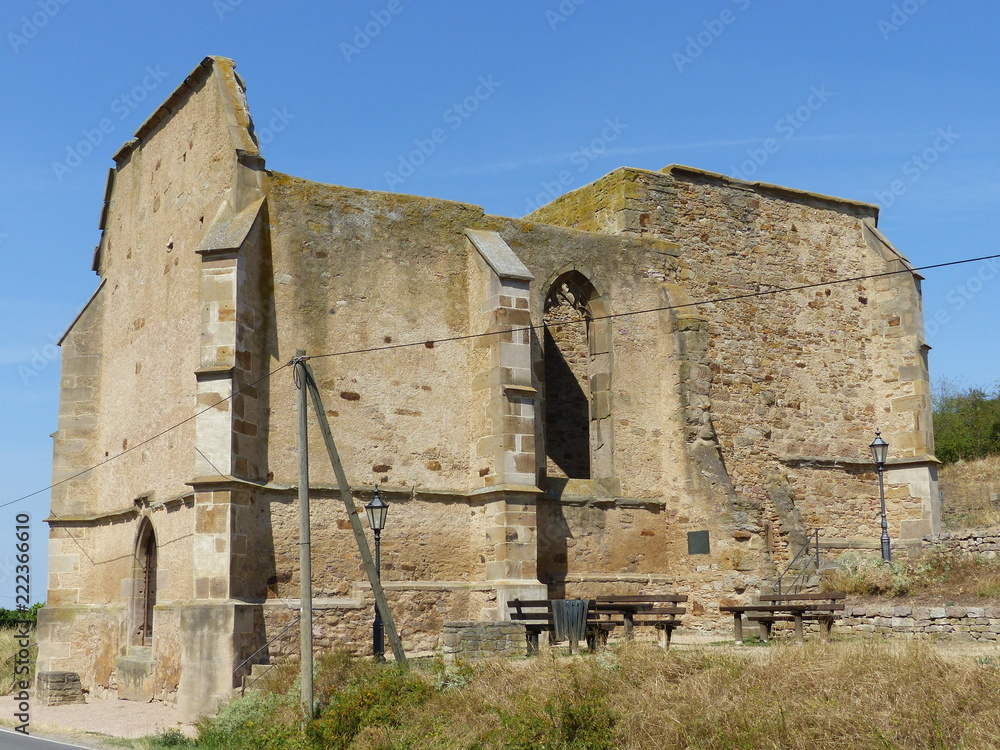 Ruinen der Beller Kirche bei Eckelsheim / Rheinhessen