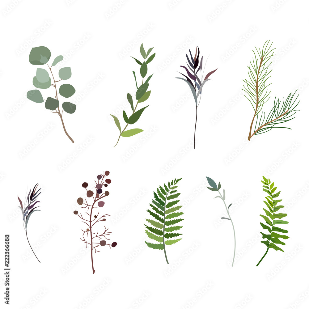 Vector designer elements set collection of green forest fern, tropical green eucalyptus greenery art foliage natural leaves herbs in watercolor style. Decorative beauty elegant illustration for design Vector designer elements set collection of green forest fern, tropical green eucalyptus greenery art foliage natural leaves herbs in watercolor style. Decorative beauty elegant illustration for design