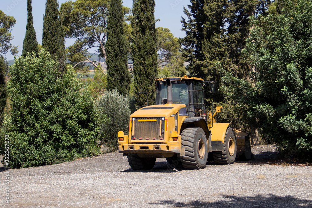 Orange tractor stands in the shadow of shrubs and trees Orange tractor stands in the shadow of shrubs and trees