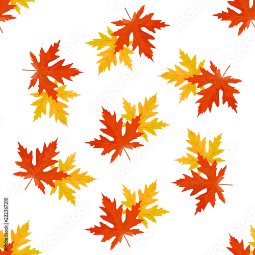 Vector seamless pattern with red, orange and yellow autumn leaves on a white background.