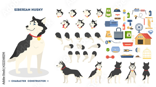 Cute siberian husky dog animation set isolated