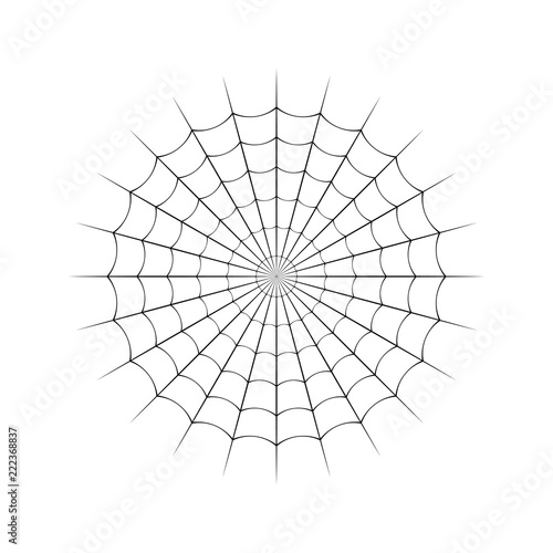 Spider web on a white background. Vector illustration